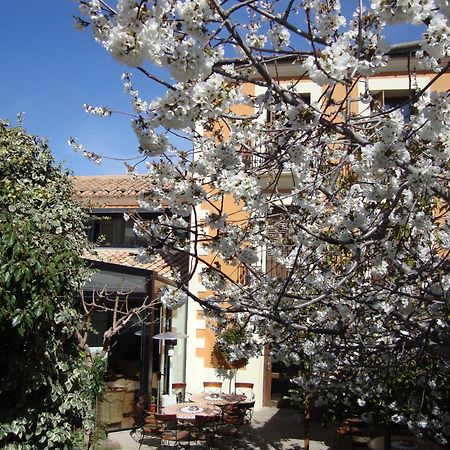Hotel El Faixero Tradicional Cinctorres Buitenkant foto