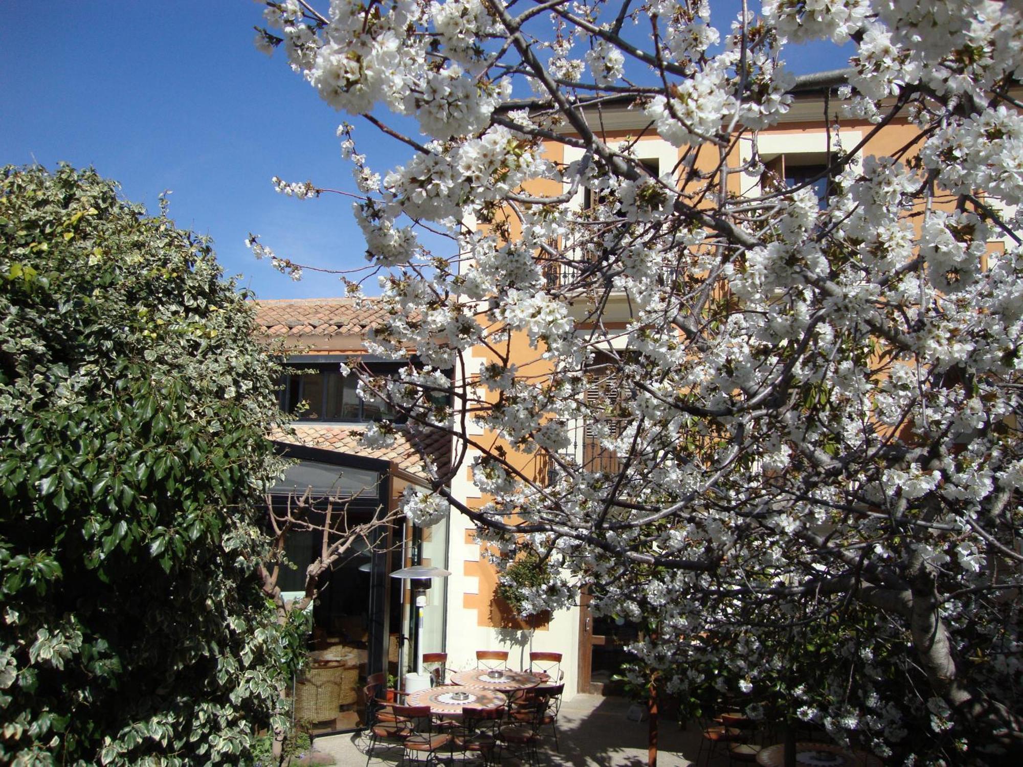 Hotel El Faixero Tradicional Cinctorres Buitenkant foto